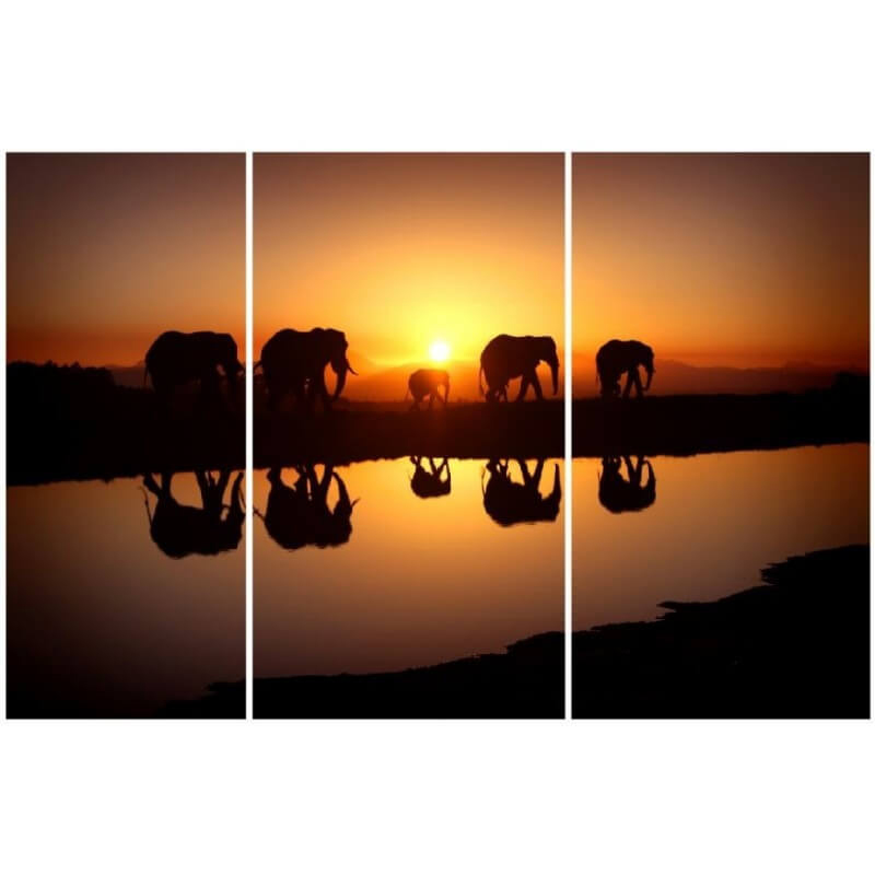 Τρίπτυχος πίνακας σε καμβά Βόλτα ελεφάντων